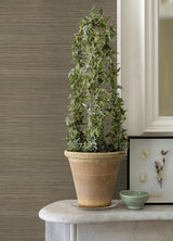 A-Street Prints Battan Olive Jute Grasscloth Wallpaper