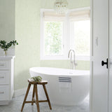 Brewster Home Fashions Advantage Bali Distressed Textures Light Green Wallpaper