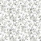 Brewster Home Fashions Chesapeake Flora & Fauna Flowers Black Wallpaper