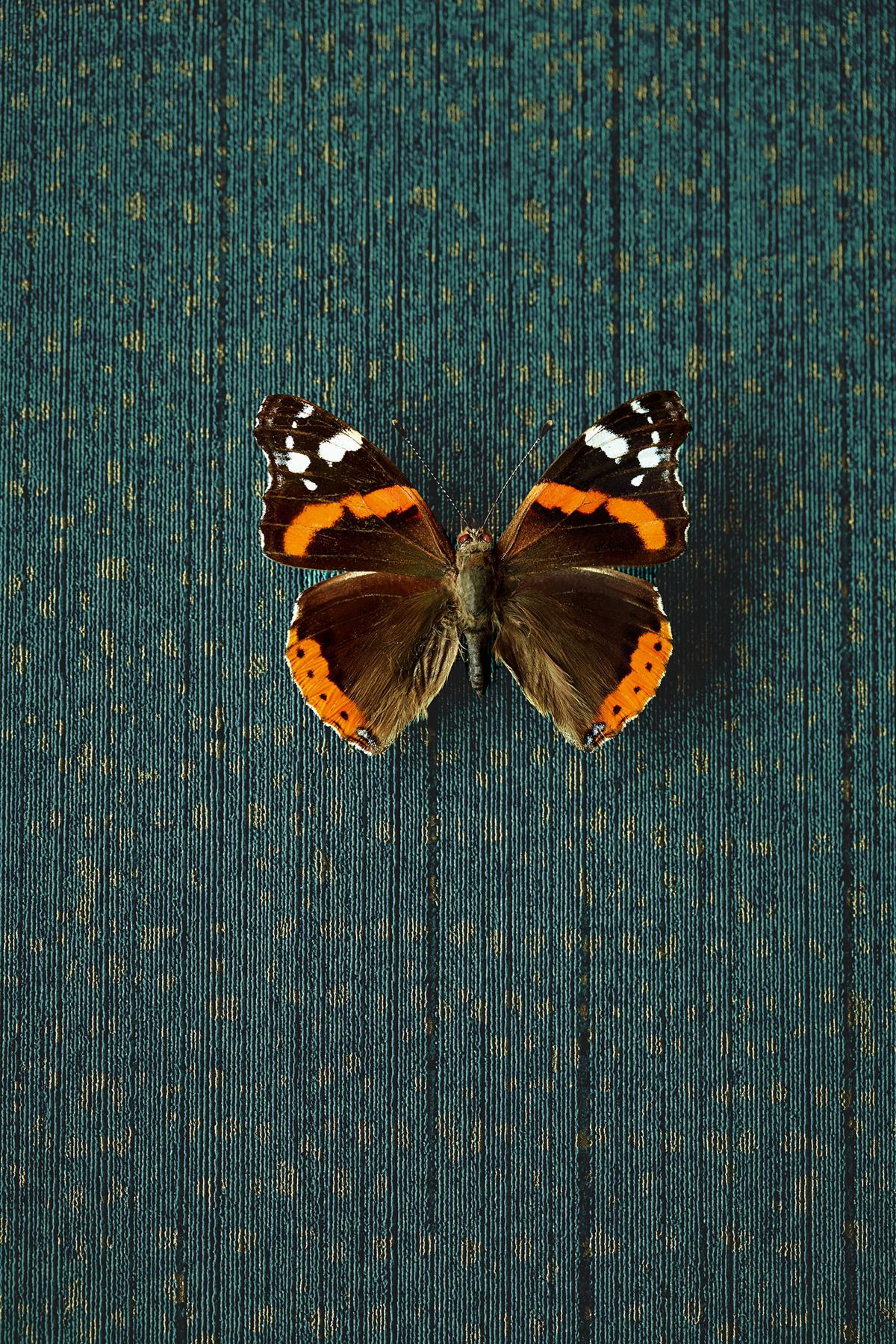 Brewster Home Fashions Eijffinger Museum Polka Dots Teal Wallpaper