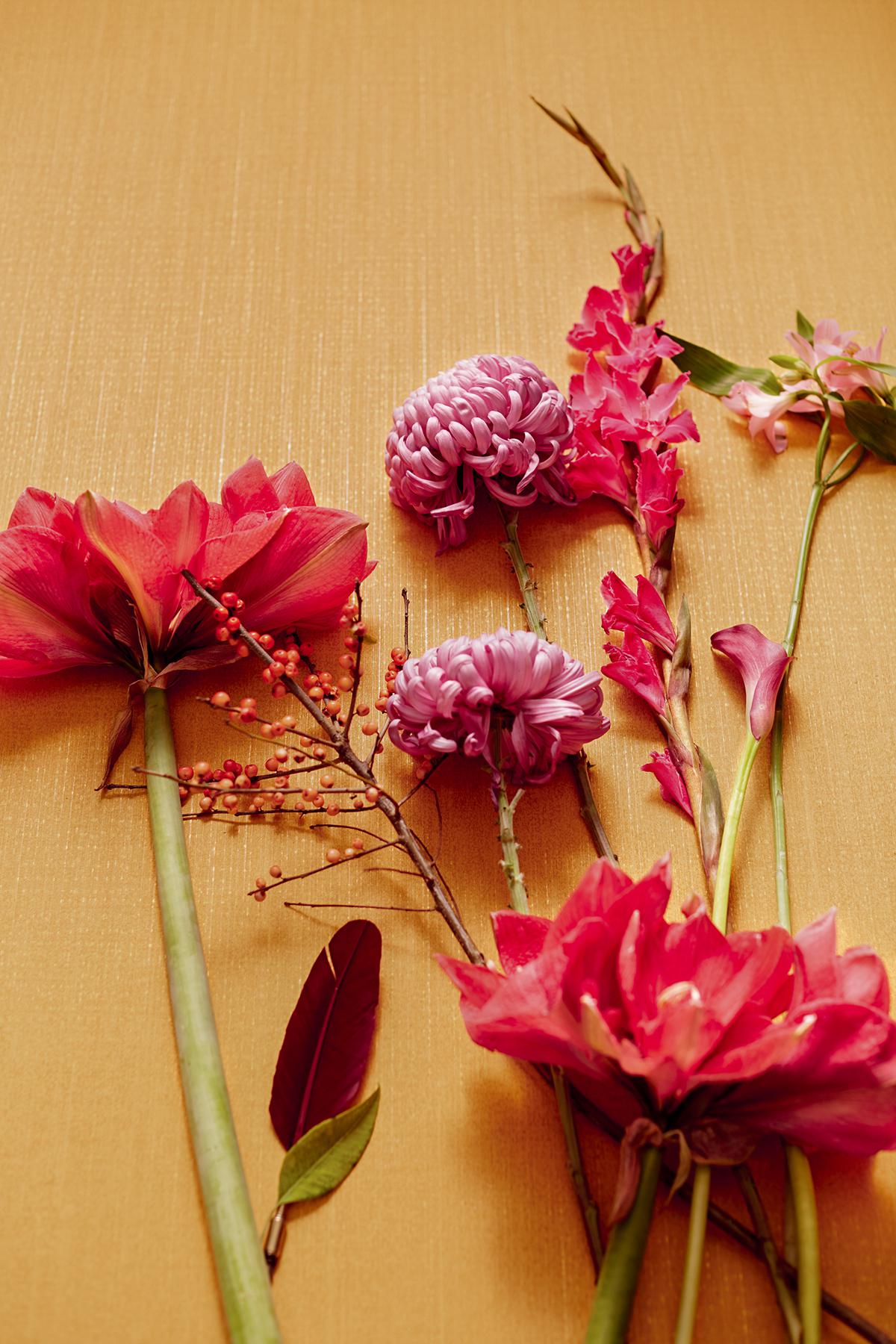 Brewster Home Fashions Eijffinger Museum Polka Dots Honey Wallpaper