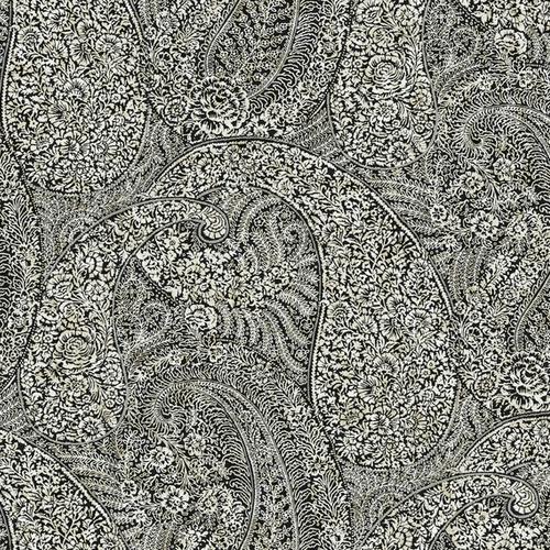 Antonina Vella Kashmir Dreams Paisley Black Wallpaper