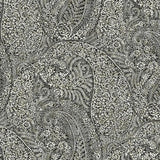 Antonina Vella Kashmir Dreams Paisley Black Wallpaper