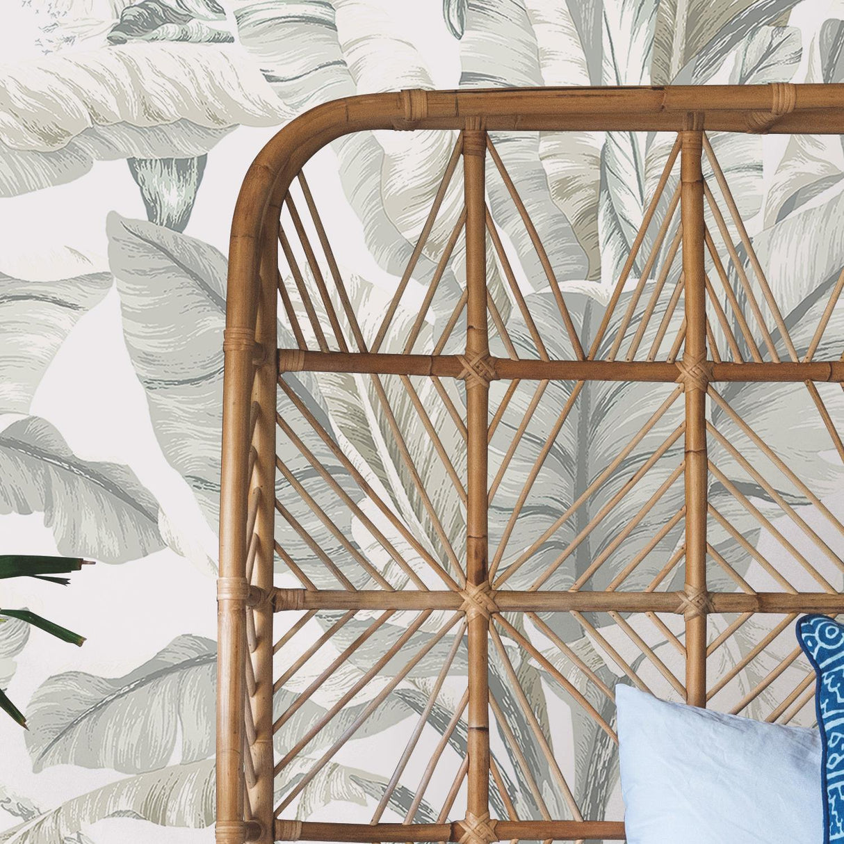 York Banana Leaf White & Cream Wallpaper