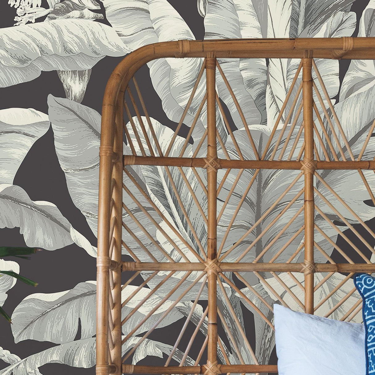 York Banana Leaf Black & White Wallpaper