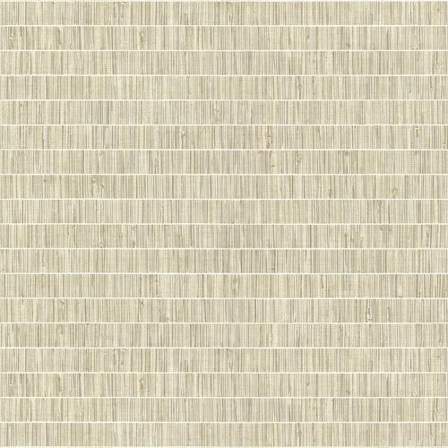 Brewster Home Fashions Warner Warner Xi Naturals & Grasscloths Faux Grasscloth Taupe Wallpaper