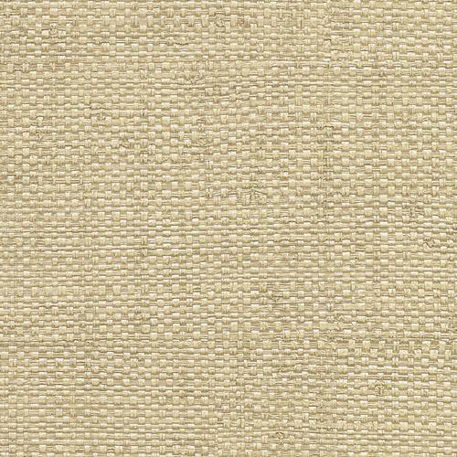 Brewster Home Fashions Warner Warner Xi Naturals & Grasscloths Texture Pattern Taupe Wallpaper