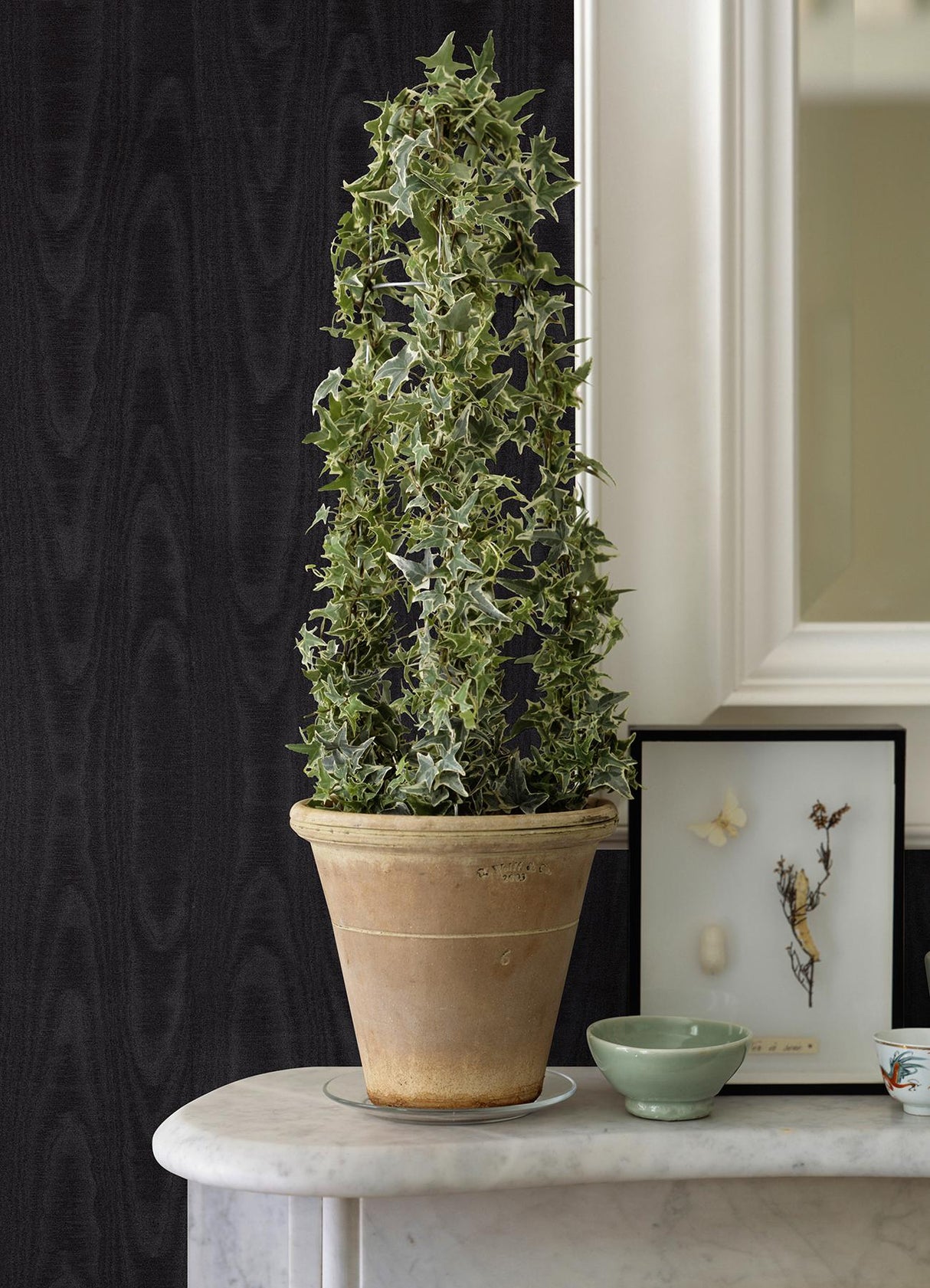 Brewster Home Fashions Sirpi Italian Silk Wood Black Wallpaper