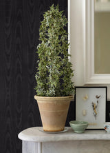 Brewster Home Fashions Sirpi Italian Silk Wood Black Wallpaper
