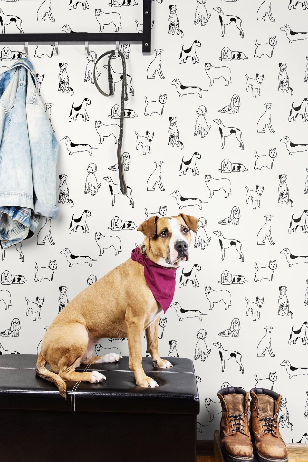 Seabrook Best In Show Onyx Wallpaper