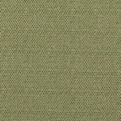 G P & J Baker PEDNOR GREEN Fabric