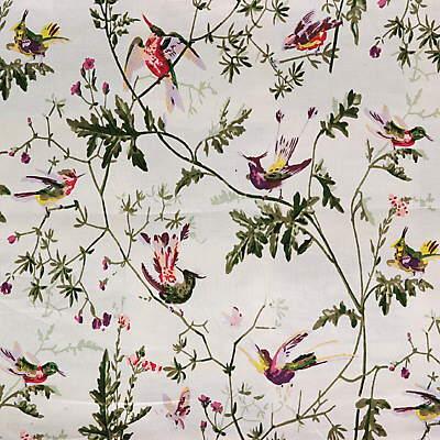 Cole & Son HUMMINGBIRDS BRIGHT MULTI  Fabric