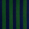 Gaston Y Daniela Benjamin Navy/Verde Fabric