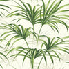 Seabrook Tropical Palm Leaf Green And Off-White Wallpaper