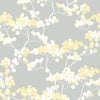 Seabrook Cyprus Blossom Buttercup & Gray Wallpaper