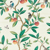 Harlequin Ella Fig Blossom/Fig Leaf/ Nectarine Wallpaper