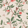 Harlequin Ella Powder/ Sage / Peach Wallpaper