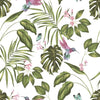 Brewster Home Fashions Clivia White Hummingbird Wallpaper