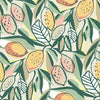 A-Street Prints Meyer Peach Citrus Wallpaper