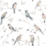Brewster Home Fashions Chesapeake Thoreau Birds Mauve Wallpaper
