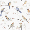 Brewster Home Fashions Birdsong Orange Trail Wallpaper