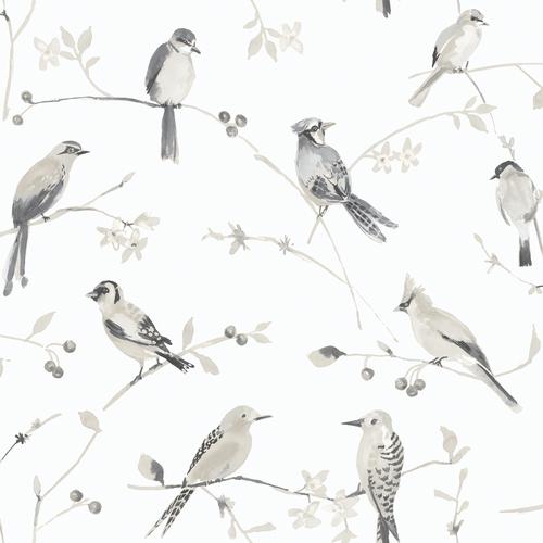 Brewster Home Fashions Chesapeake Thoreau Birds Grey Wallpaper