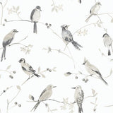 Brewster Home Fashions Chesapeake Thoreau Birds Grey Wallpaper