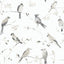 Brewster Home Fashions Chesapeake Thoreau Birds Grey Wallpaper