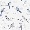 Brewster Home Fashions Birdsong Blue Trail Wallpaper