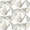 Brewster Home Fashions Janetta Grey Butterfly Wallpaper