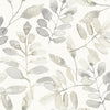 Brewster Home Fashions Pinnate Taupe Leaves Wallpaper