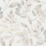 Brewster Home Fashions Chesapeake Thoreau Leaves Blush Wallpaper