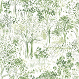Brewster Home Fashions Chesapeake Thoreau Trees Green Wallpaper