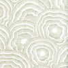 Kravet Panache Wp Leaf Wallpaper