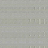 JF Fabrics LATERAL 63 Fabric