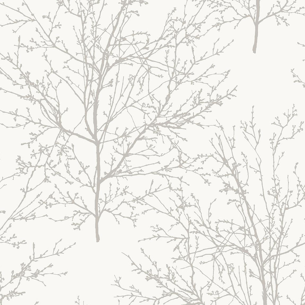 Seabrook Winter Branches Grey Wallpaper