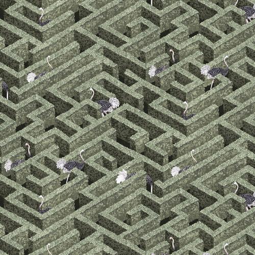 Kravet LABYRINTH WITH OSTRICHES 01 Wallpaper