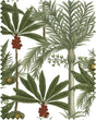 MindTheGap MADAGASCAR GREEN/WHITE/RED Fabric