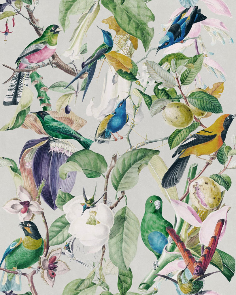 MindTheGap TROPICAL BIRDS Green, White, Blue, Taupe Wallpaper