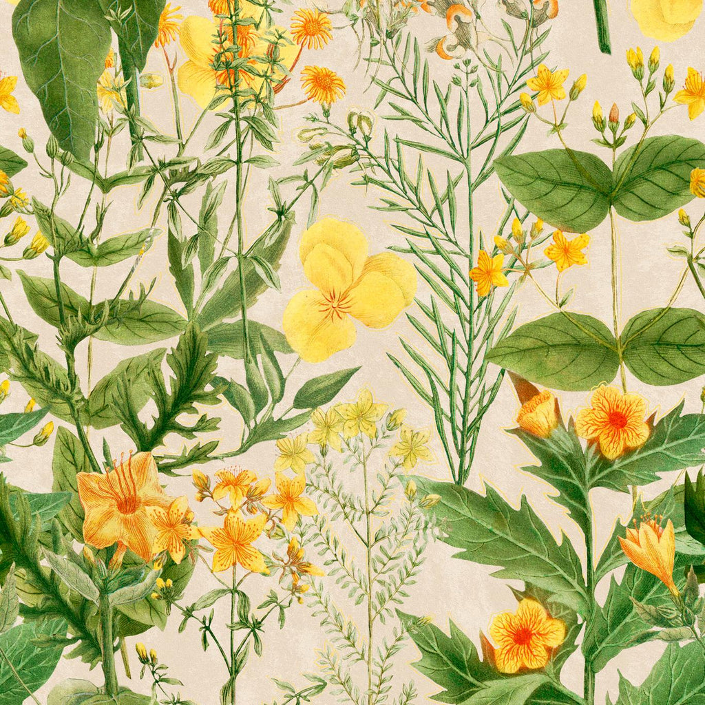 MindTheGap MIMULUS Green, Yellow, Taupe Wallpaper