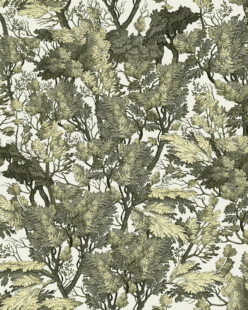 MindTheGap TREE FOLIAGE GREEN/WHITE Wallpaper