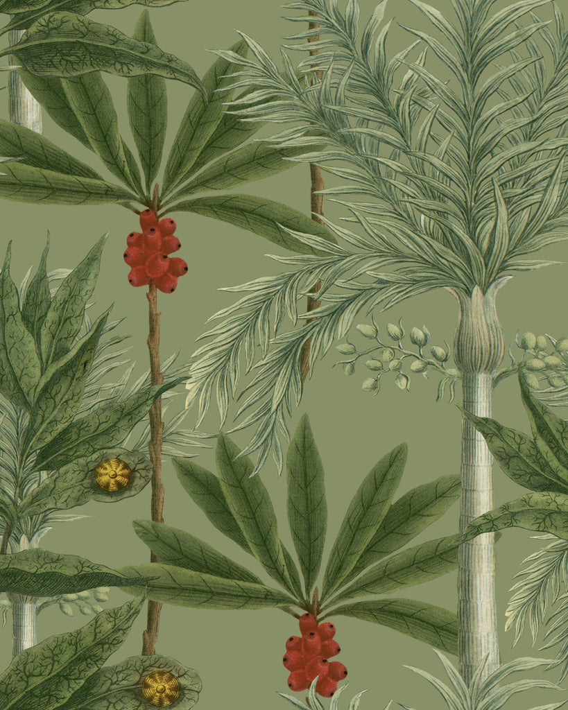 MindTheGap MADAGASCAR GREEN/RED Wallpaper