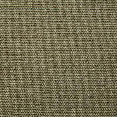 Pindler REESE OLIVE Fabric