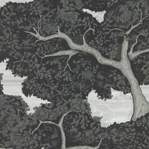 Harlequin Eternal Oak Ebony/FirstLight Wallpaper