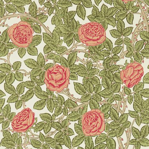 Morris & co Rambling Rose Twining Vine Wallpaper