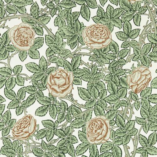 Morris & co Rambling Rose Leafy Arbour/Pearwood Wallpaper