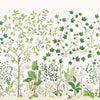 Sanderson Sycamore And Oak Botanical Green Wallpaper