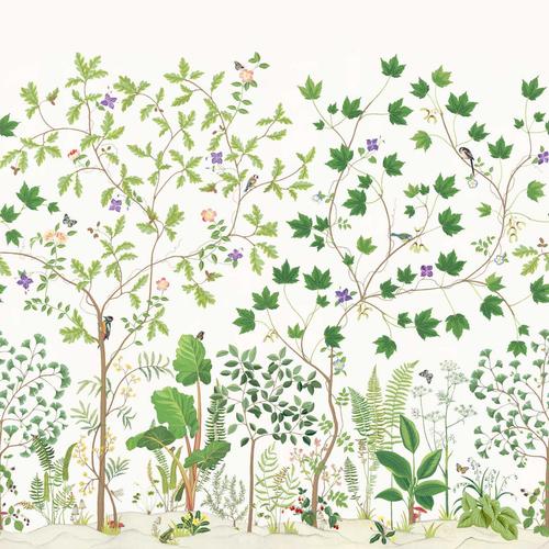 Sanderson Sycamore and Oak Botanical Green Wallpaper