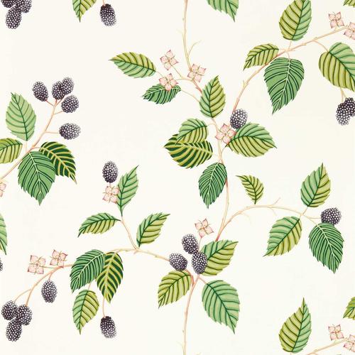 Sanderson Rubus Blackberry Wallpaper