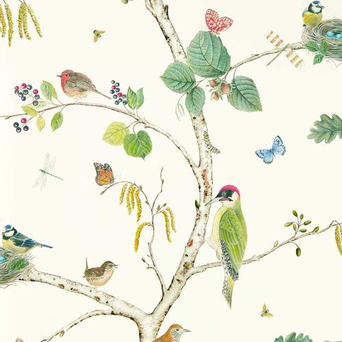 Sanderson Woodland Chorus Botanical/Multi Wallpaper